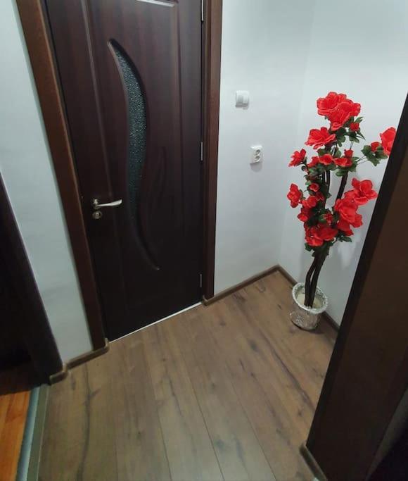 Apartament ultracentral mobilat si utilat complet. Tecuci Extérieur photo